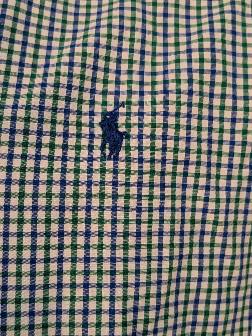 Ralph Lauren blue and green checkered shirt with embroidered dark blue Pony logo.
